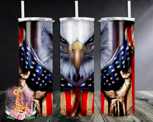 American Flag with Eagle